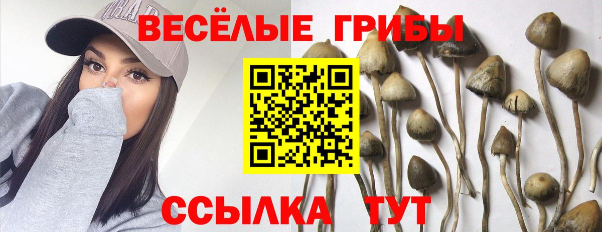 Галлюциногенные грибы Psilocybe  Вход с VPN  Екатеринбург 